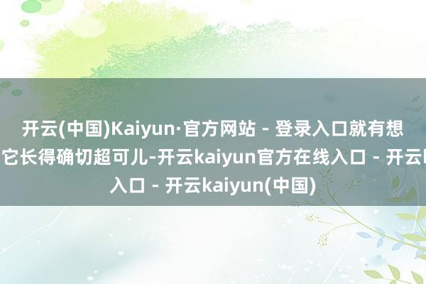 开云(中国)Kaiyun·官方网站 - 登录入口就有想买的冲动啦!它长得确切超可儿-开云kaiyun官方在线入口 - 开云kaiyun(中国)