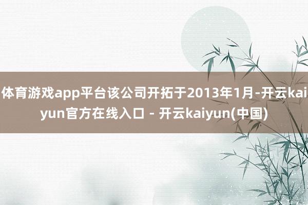 体育游戏app平台该公司开拓于2013年1月-开云kaiyu