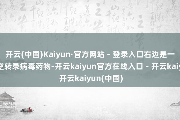 开云(中国)Kaiyun·官方网站 - 登录入口右边是一堆仿