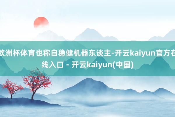 欧洲杯体育也称自稳健机器东谈主-开云kaiyun官方在线入口