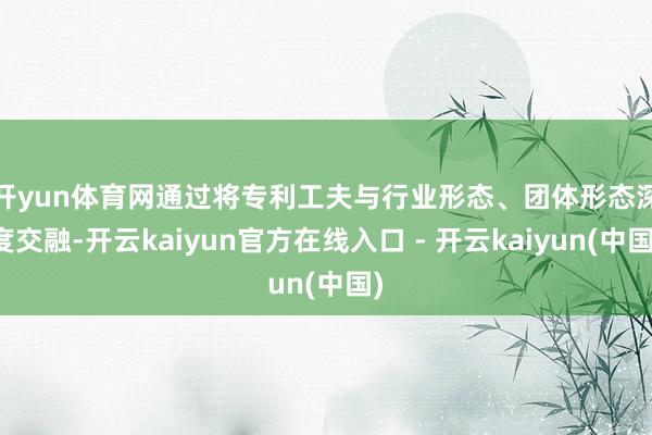 开yun体育网　　通过将专利工夫与行业形态、团体形态深度交融-开云kaiyun官方在线入口 - 开云kaiyun(中国)