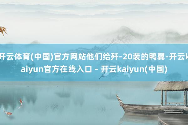 开云体育(中国)官方网站他们给歼-20装的鸭翼-开云kaiy
