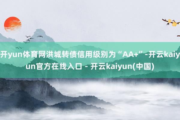 开yun体育网洪城转债信用级别为“AA+”-开云kaiyun