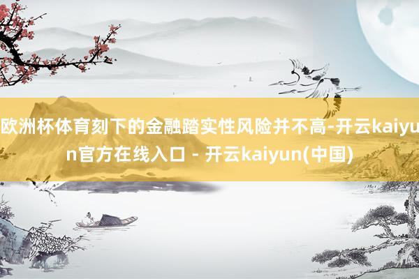 欧洲杯体育刻下的金融踏实性风险并不高-开云kaiyun官方在