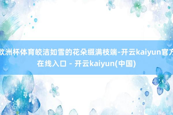 欧洲杯体育皎洁如雪的花朵缀满枝端-开云kaiyun官方在线入口 - 开云kaiyun(中国)