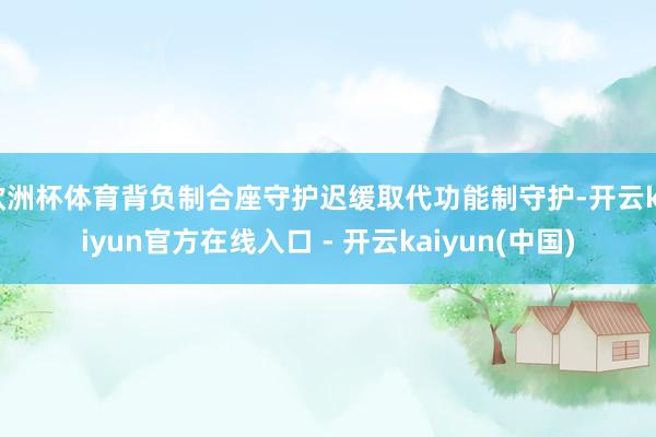 欧洲杯体育背负制合座守护迟缓取代功能制守护-开云kaiyun