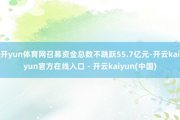 开yun体育网召募资金总数不跳跃55.7亿元-开云kaiyu
