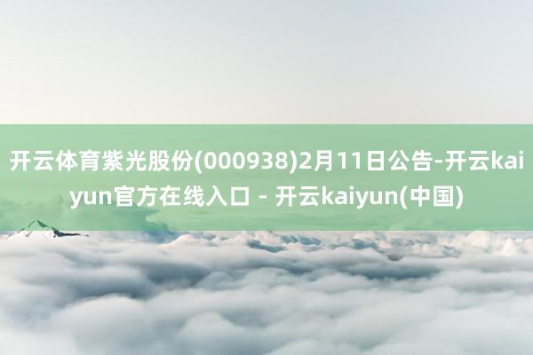 开云体育紫光股份(000938)2月11日公告-开云kaiy